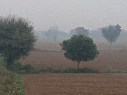 राजस्थान में चक्रवात का असर, कई जिलों में ​बारिश:8 डिग्री तक गिरा दिन का तापमान, उदयपुर सबसे ठंडा, नवंबर में भी होगी बरसात