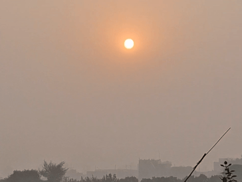 श्रीगंगानगर में छाई हल्की धुंध, धूप का असर हुआ कम:25 के बाद तेज सर्दी दिखाएगी, मौसम ड्राई रहेगा