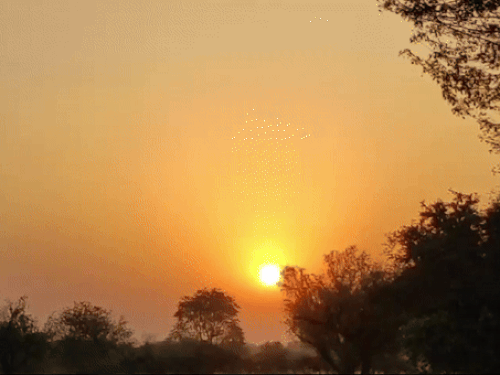 राजस्थान में सर्द हवाओं का असर कम हुआ:माउंट आबू में तापमान जमाव बिंदु से ऊपर; अगले 2 सप्ताह तक साफ रहेगा मौसम