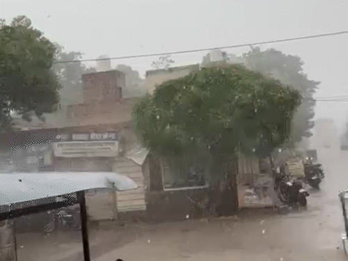 राजस्थान में गिरेगा पारा, बढ़ेगी सर्दी:श्रीगंगानगर, हनुमानगढ़ में बारिश के साथ ओले गिरे, आज से साफ रहेगा मौसम