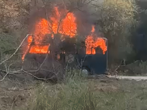 नाहरगढ़ लायन-सफारी में पर्यटकों से भरी बस में लगी आग:शेरों के बीच फंसे 15 टूरिस्ट, डेढ़ महीने में दूसरी लापरवाही