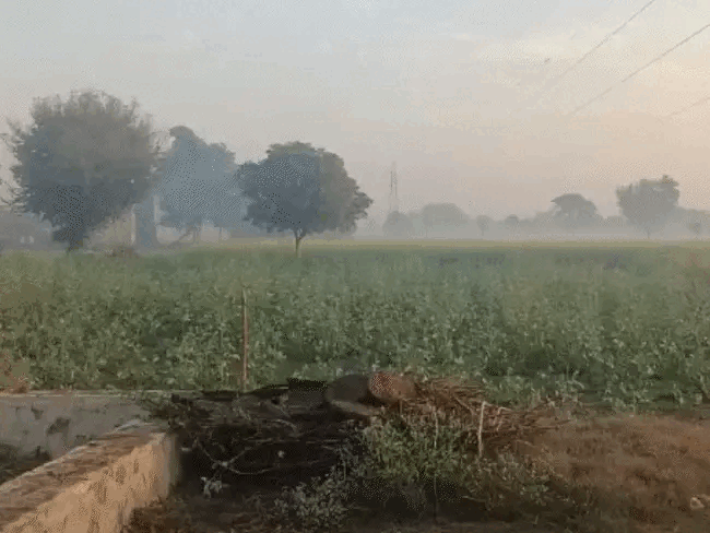 सीकर में पारा@2 डिग्री:नहीं चलेगी कोल्डवेव,12 दिसंबर को वेस्टर्न डिस्टरबेंस एक्टिव होने से तापमान बढ़ेगा