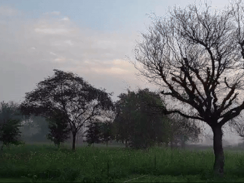 राजस्थान में दिसंबर के पहले सप्ताह में कोल्ड-वेव का अलर्ट:3 डिग्री तक गिरा पारा, उत्तर भारत के पहाड़ी राज्यों की बर्फीली हवा बढ़ाएगी ठंड