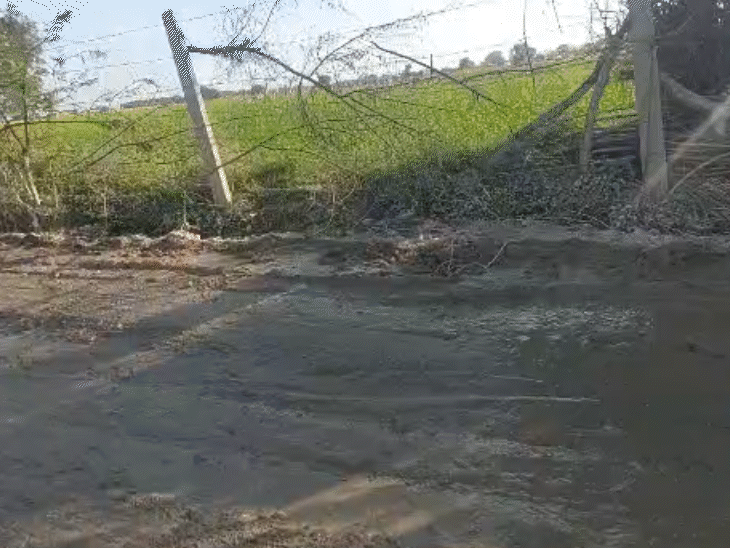 बेटा बैंक मैनेजर, गांव में सड़क न होने से कुंवारा:इतना खराब रास्ता कि बारिश में मौत हो जाए तो लोग शोकसभा में नहीं आते