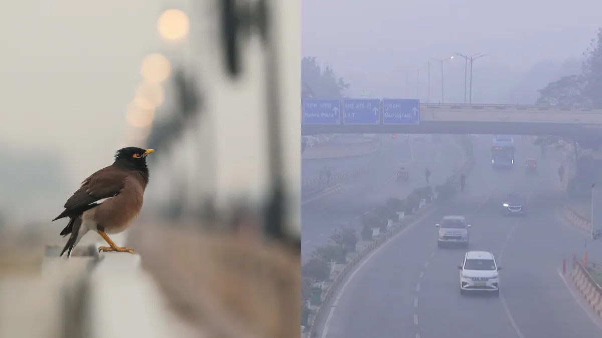 दिल्ली-NCR में स्मॉग और कोहरे से गंभीर हुई हवा, कड़ाके की ठंड के बीच AQI 400 के पार; कई उड़ानें प्रभावित