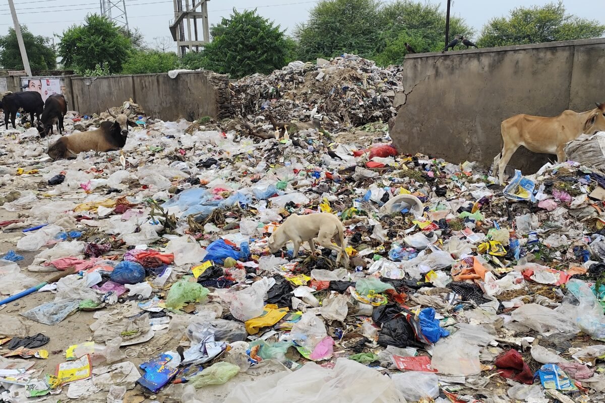 नगर निगम की अनदेखी से जयपुर शहर बन रहा डंपिंग-यार्ड:शिकायतों के बावजूद नहीं हो रहा समाधान, जनता बोली- मूक दर्शक बना प्रशासन