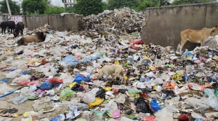 नगर निगम की अनदेखी से जयपुर शहर बन रहा डंपिंग-यार्ड:शिकायतों के बावजूद नहीं हो रहा समाधान, जनता बोली- मूक दर्शक बना प्रशासन