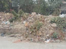 जयपुर के ट्रांसपोर्ट नगर में गंदगी से लोग परेशान:शिकायतों के बाद भी नहीं हो रहा समाधान, मक्खी-मच्छरों से बीमारियां फैलने का खतरा