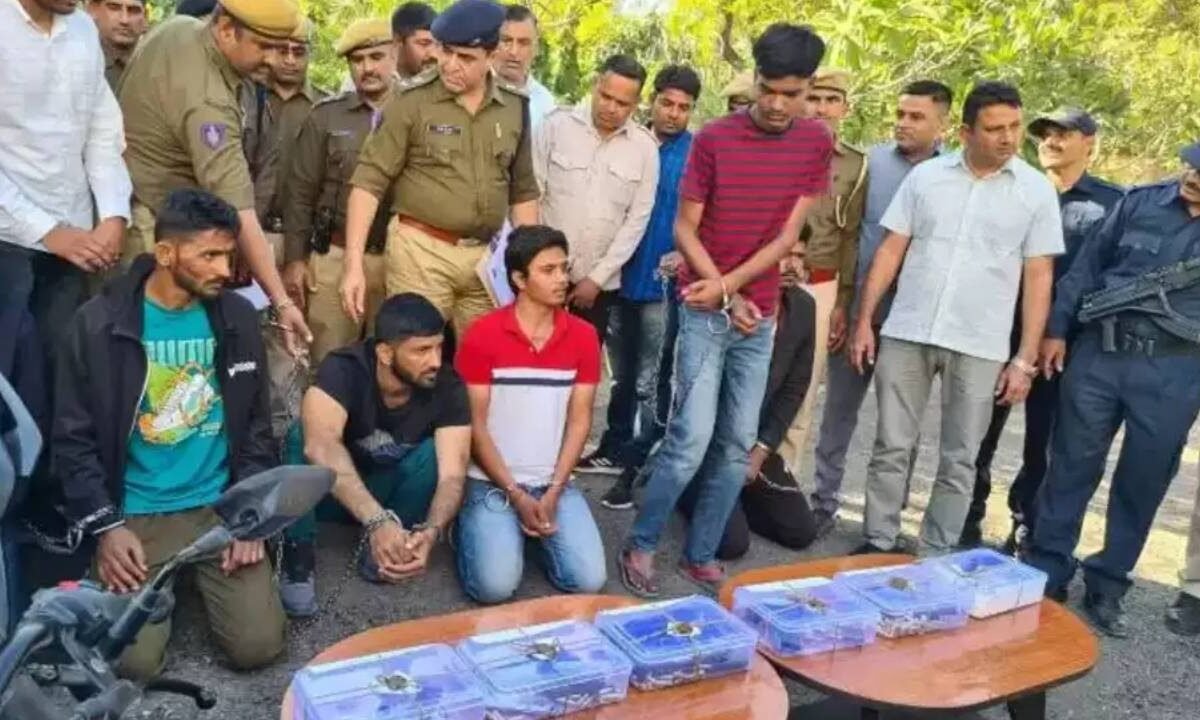 जोधपुर में युवक की नाक काटी, हाथ-पैर तोड़े:युवती को भगाकर ले गया था, SUV से गांव पहुंचते ही परिवार वाले टूट पड़े