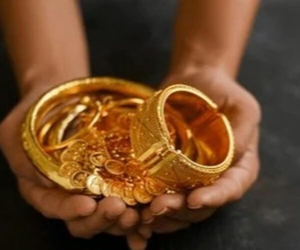 राजस्थान-पंजाब नेशनल बैंक में जमा करोड़ों का सोना नकली हुआ:बैंक मैनेजर ने जमीनें खरीदीं, डेयरी प्लांट लगाया